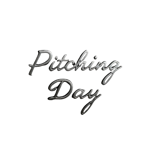 How Was the Pitching Day at Ostim Technical University?